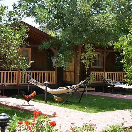 Caretta Caretta Pension Cirali Exterior photo